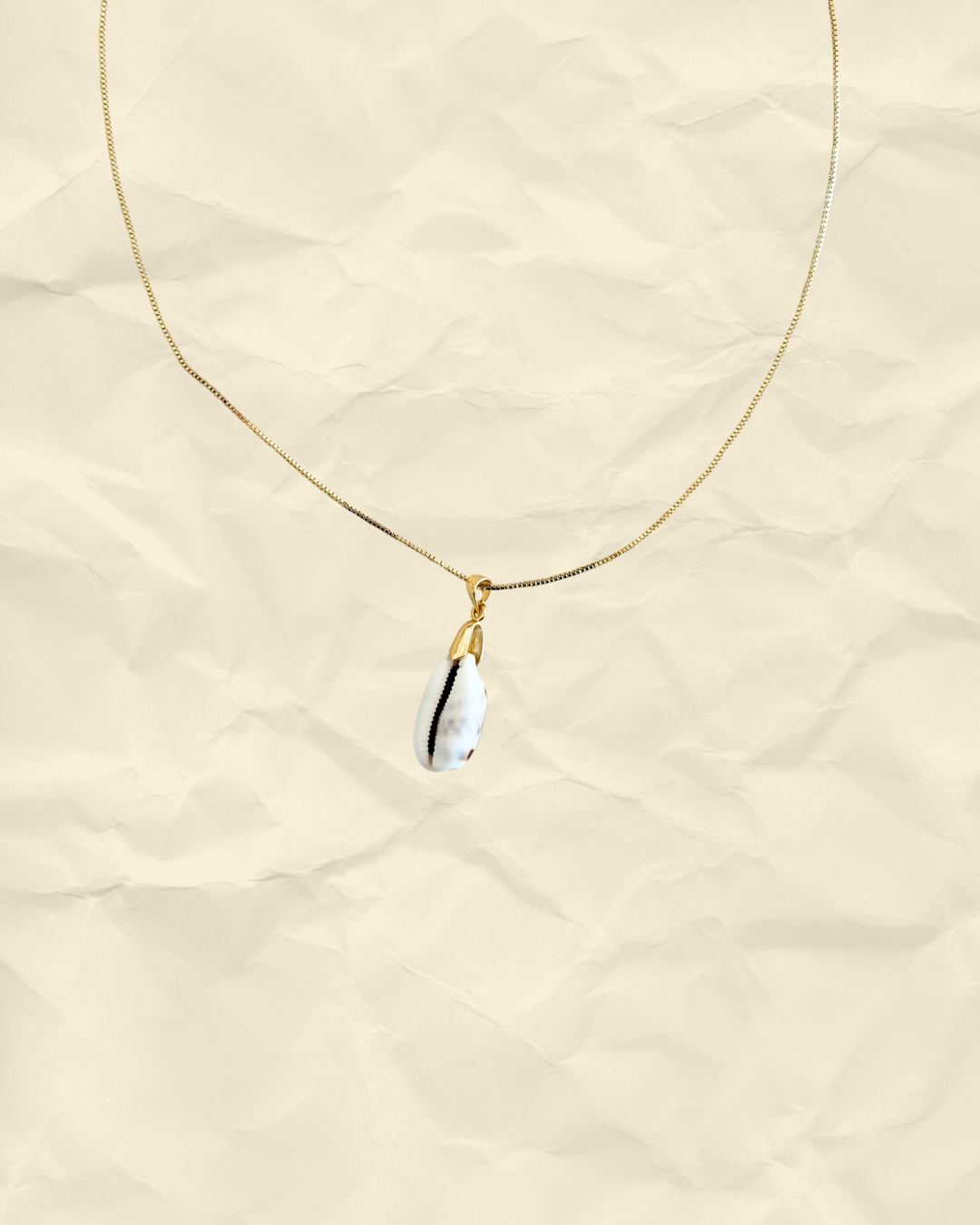 Classic Cowrie – Genuine Cowrie Shell Necklace